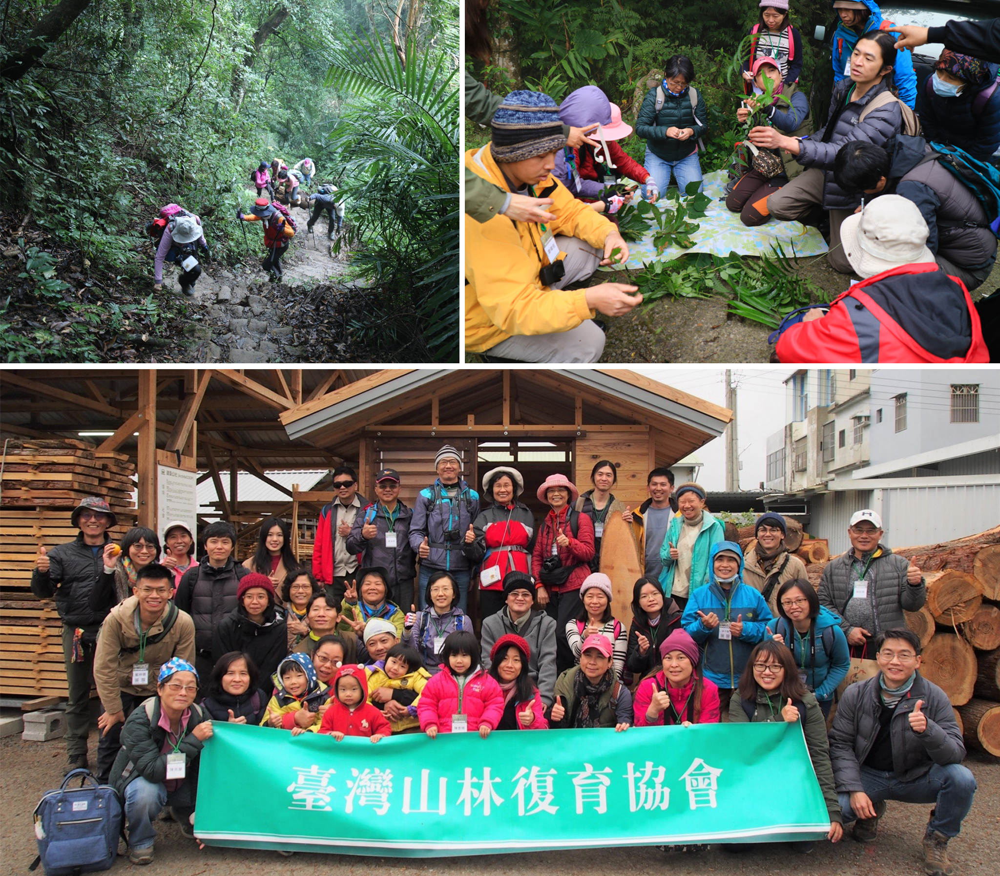 夥伴一同進入五指山天然林（左上圖）、樣區內採集的標本辨識（右上圖）、大家於「建築工社」製作的小木屋前合影（下圖）