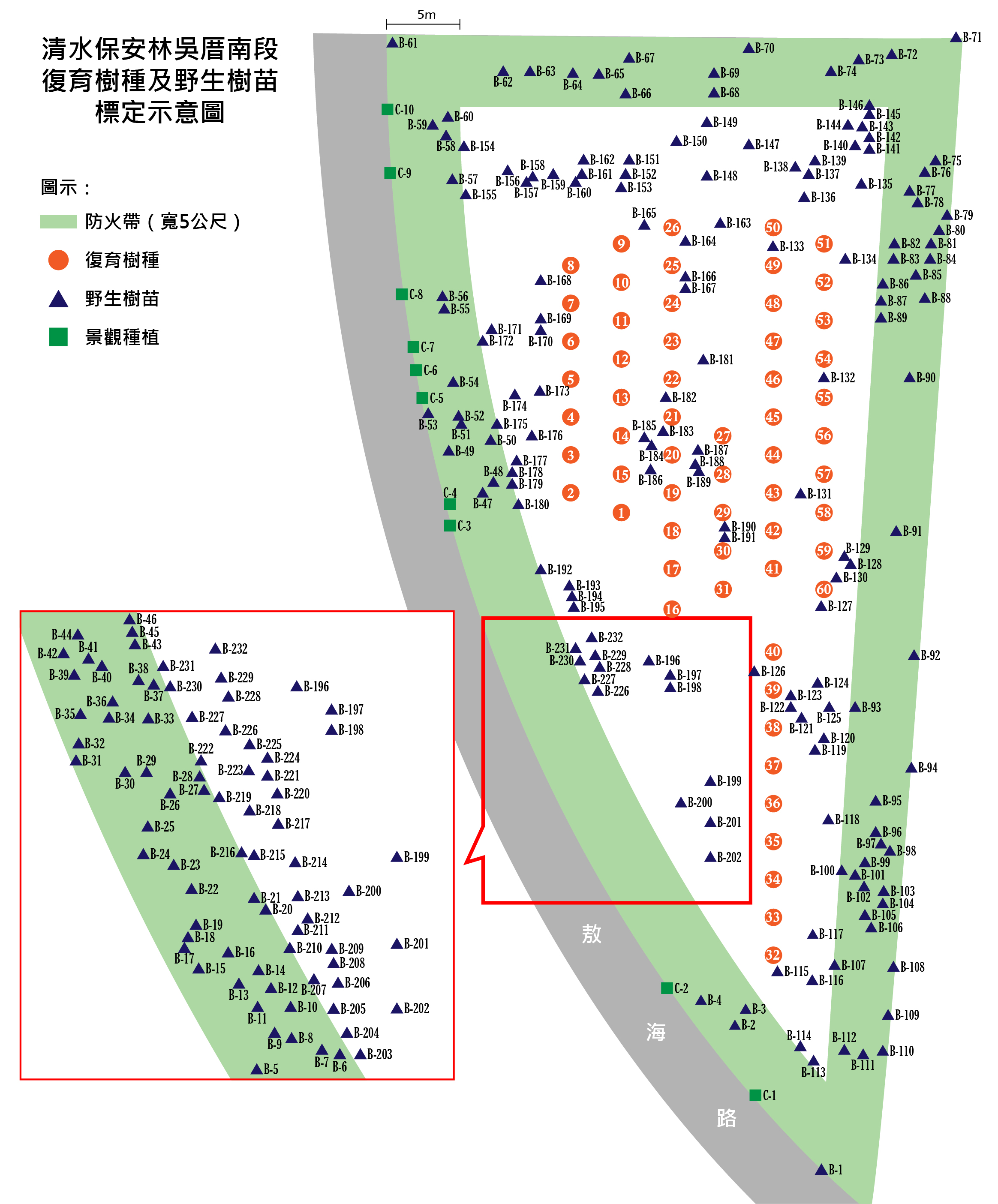 清水保安林吳厝南段復育樹種及野生樹苗標定示意圖