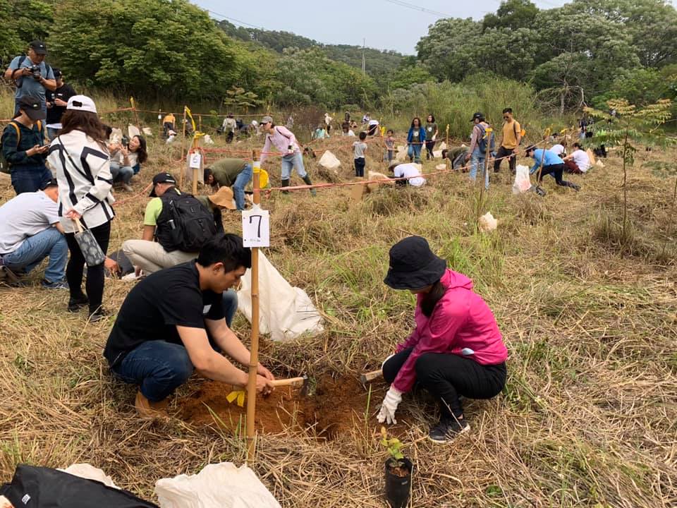 大肚山原生林復育，首次防火帶設置