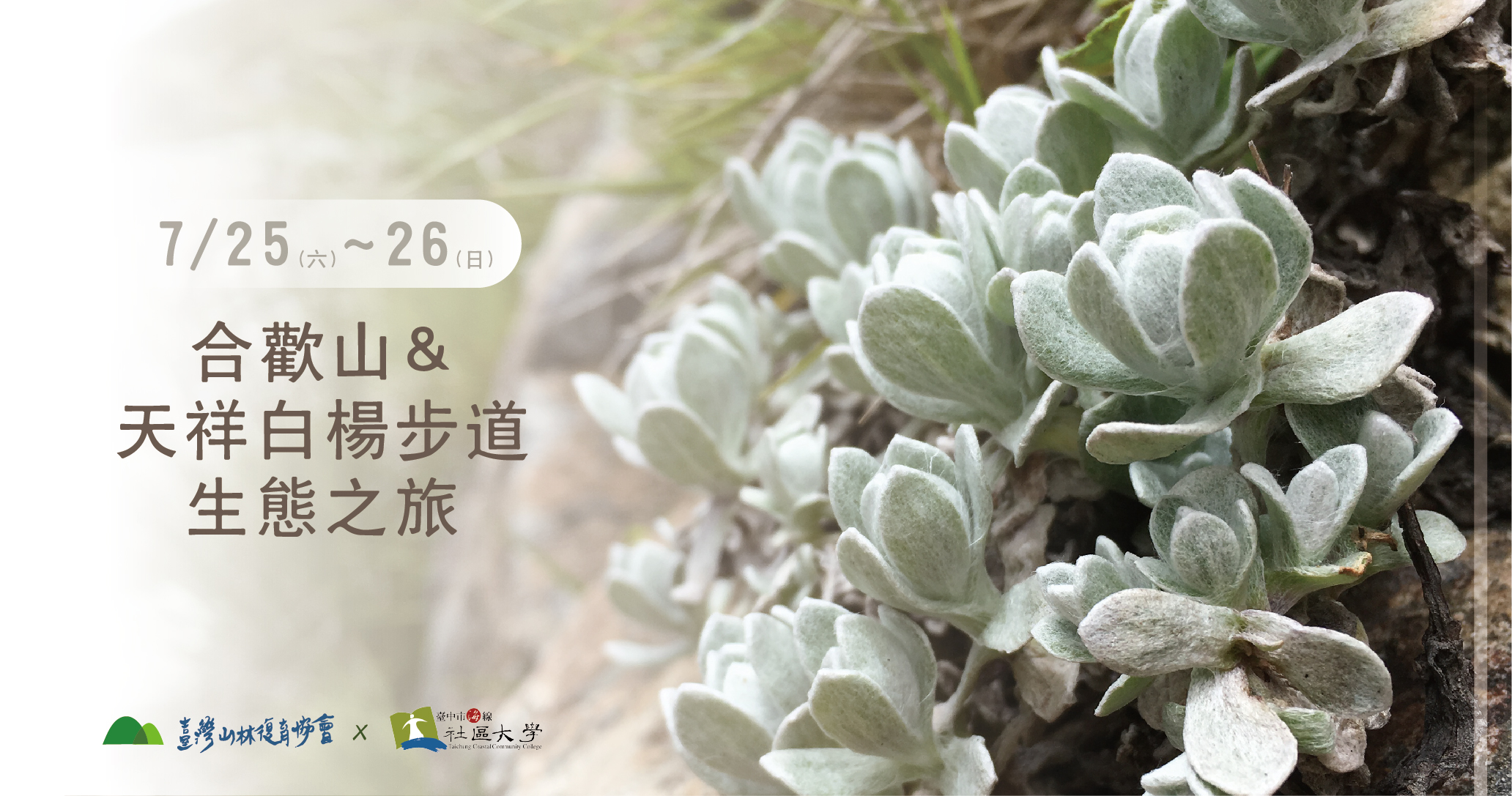 行前通知 7 25 六 7 26 日 合歡山及天祥白楊步道生態之旅 臺灣山林復育協會