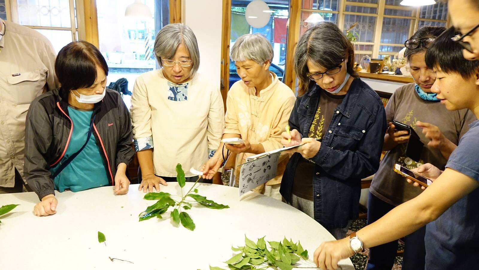 秀巒公園植物標本辨識