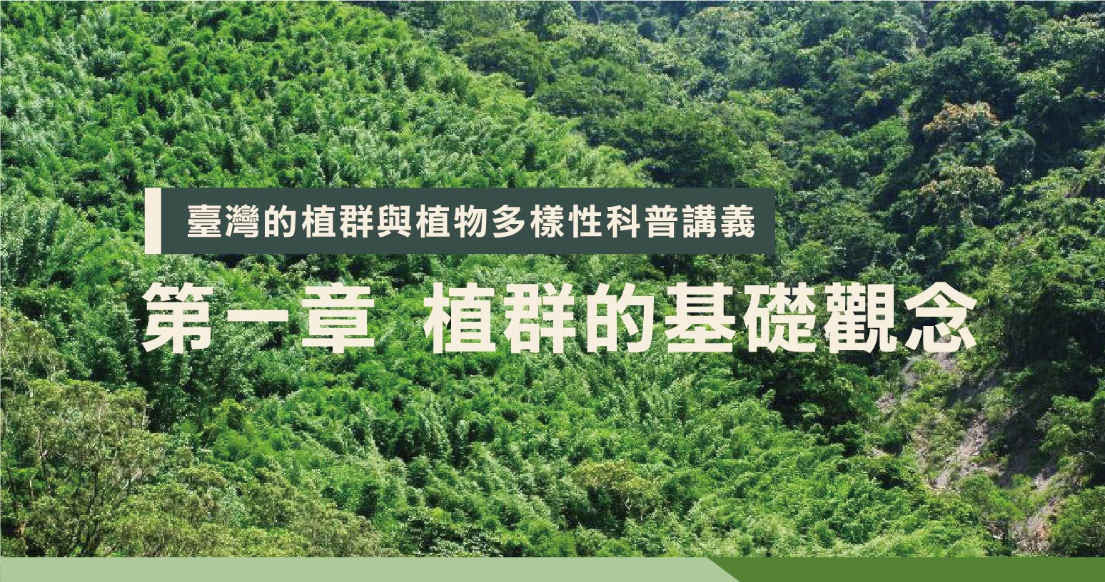 —臺灣的植群與植物多樣性 – 頁面 2 – 社團法人臺灣山林復育協會