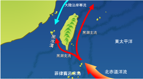 第三章 榕楠林帶(含海岸)植群 – 社團法人臺灣山林復育協會