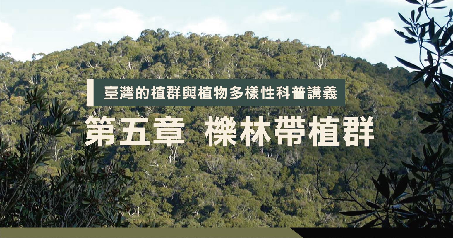 第五章櫟林帶植群 臺灣山林復育協會