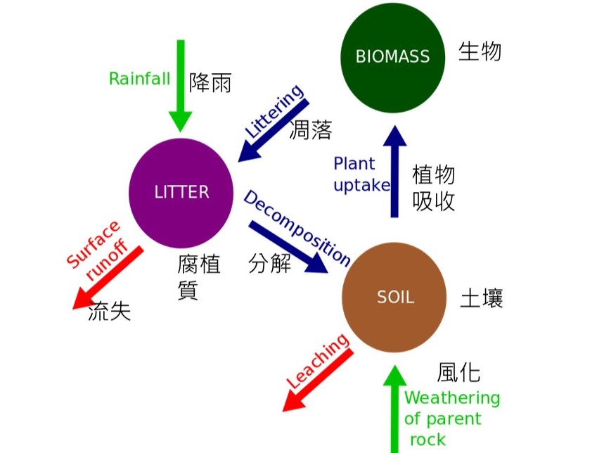 第三章 森林生態系服務 – 臺灣山林復育協會