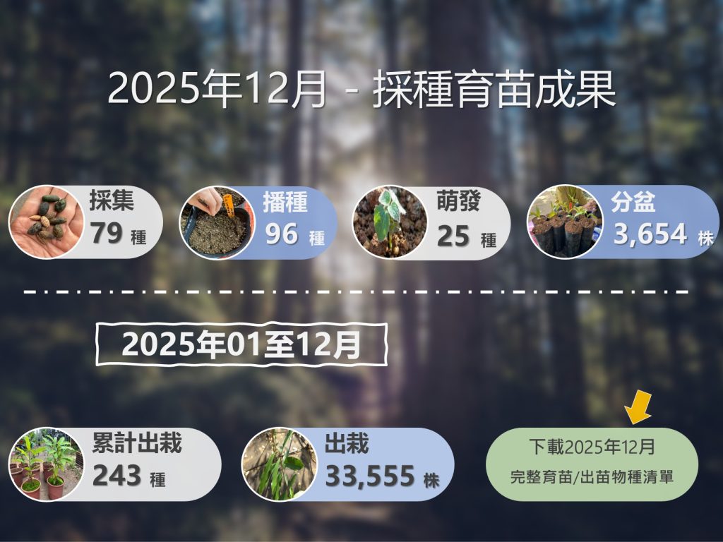 2025年12月完整育苗出苗物種清單 PDF 下載