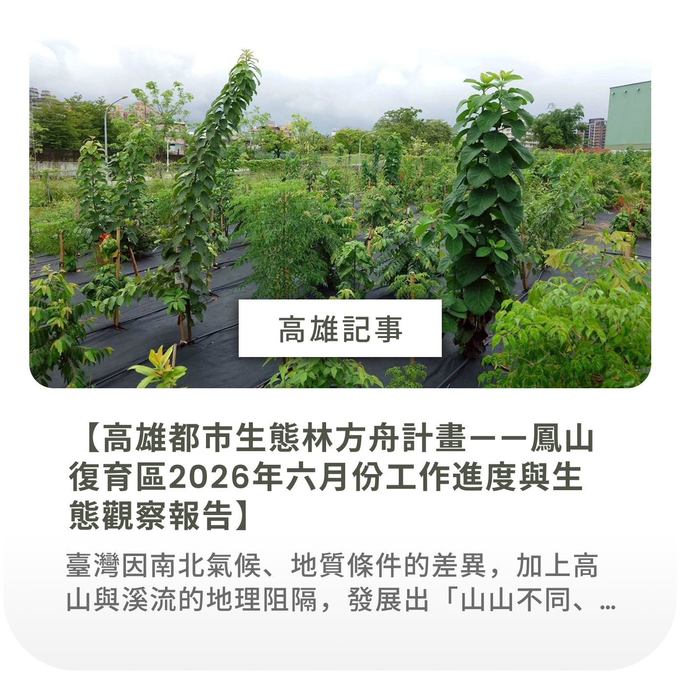 高雄記事
