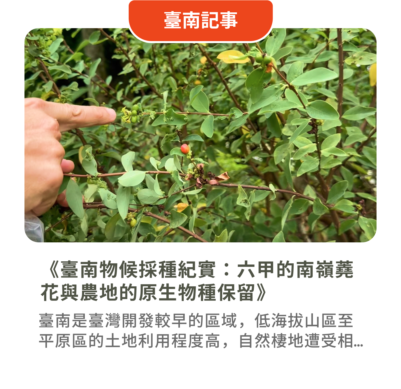 圖片 4