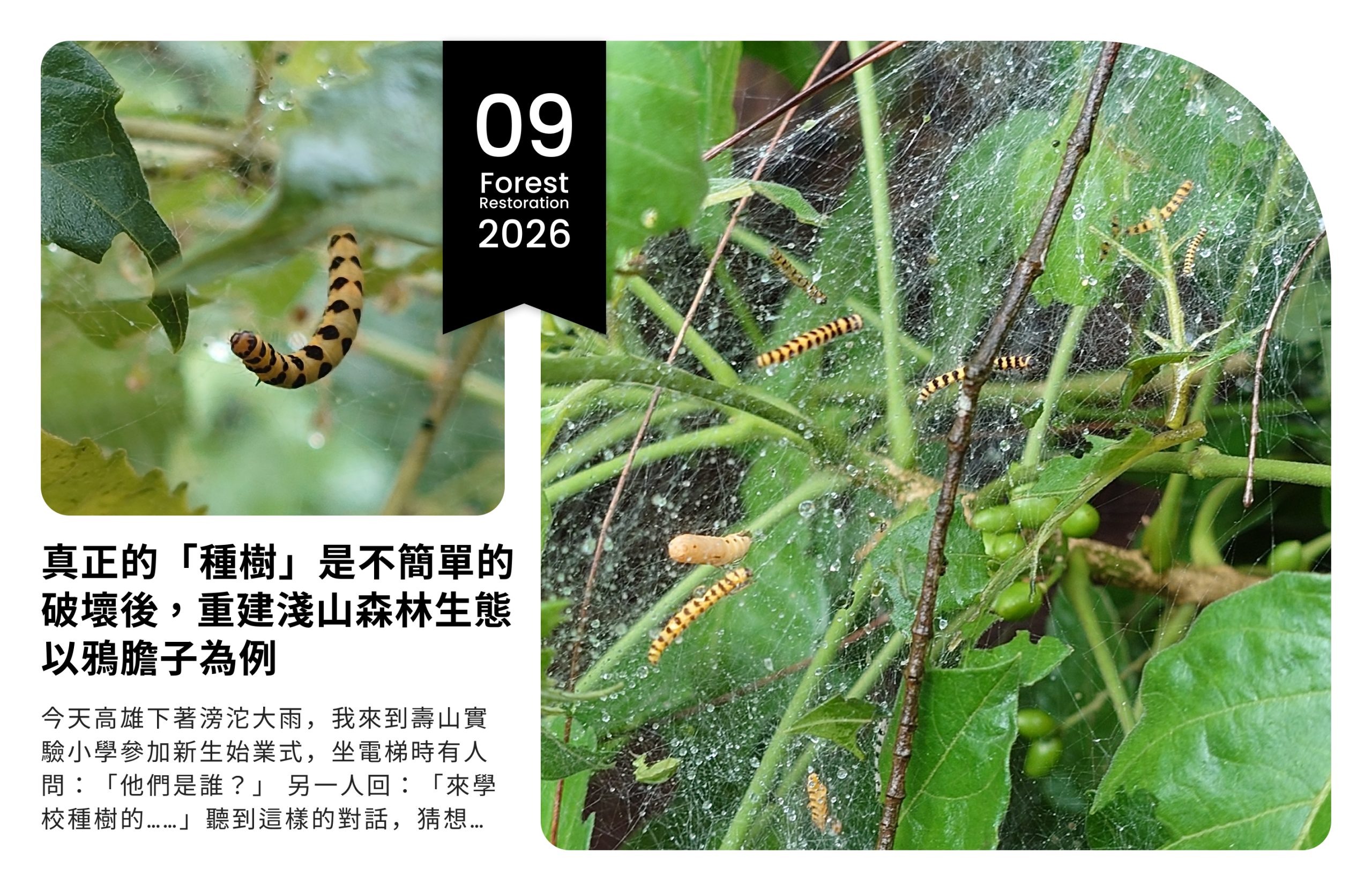 查看九月專題報導