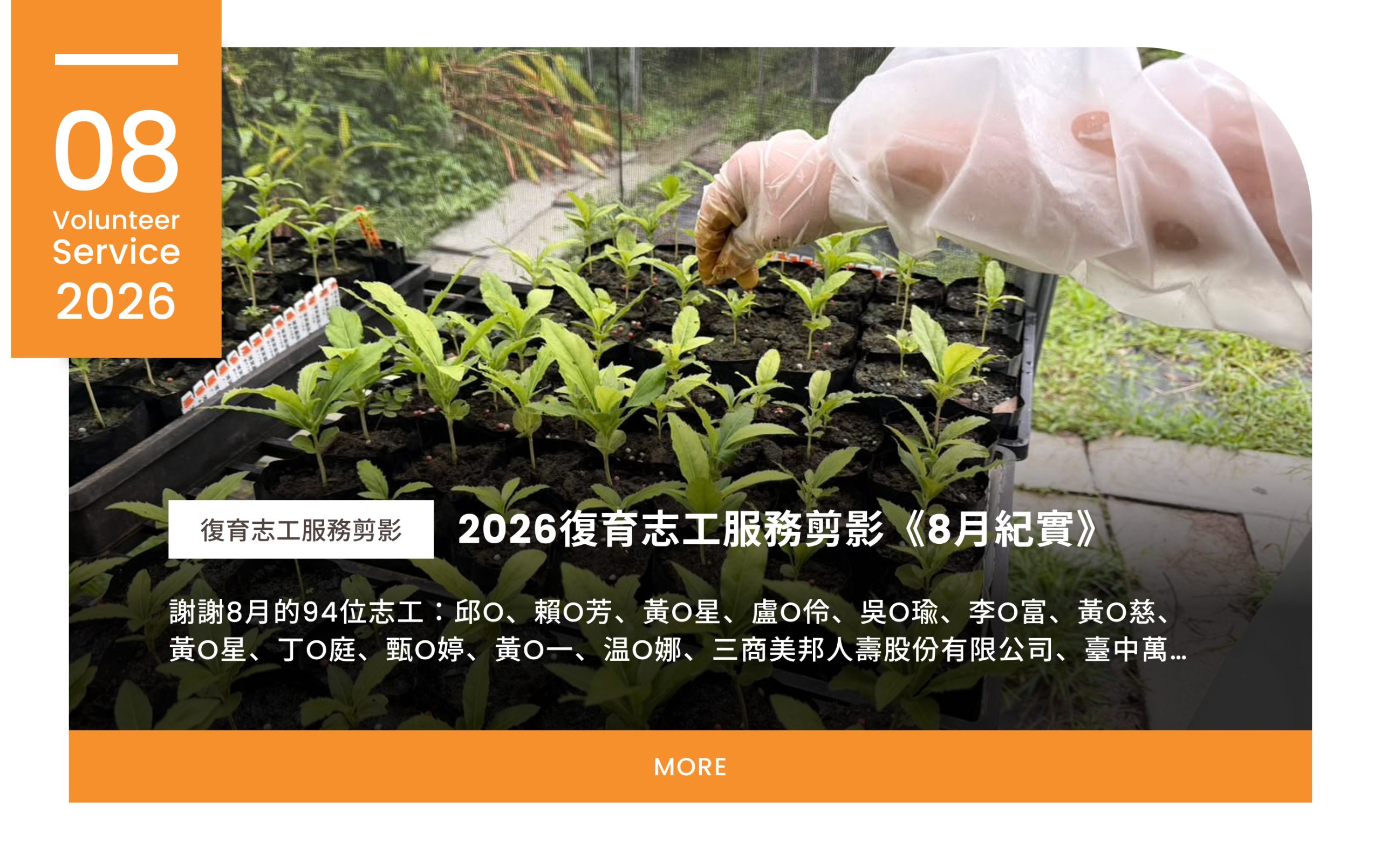 查看八月志工服務剪影紀錄