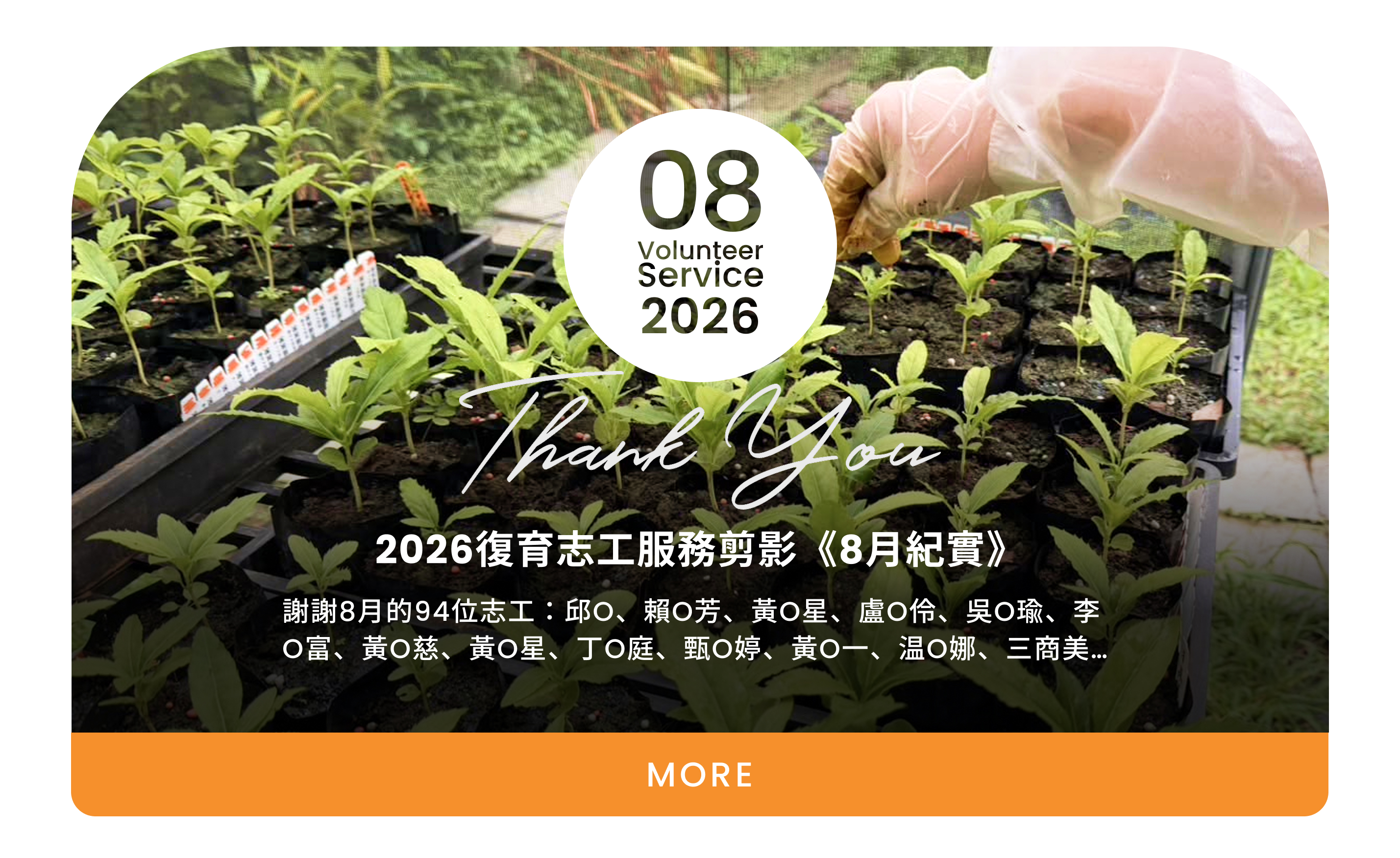 查看八月志工服務剪影紀錄