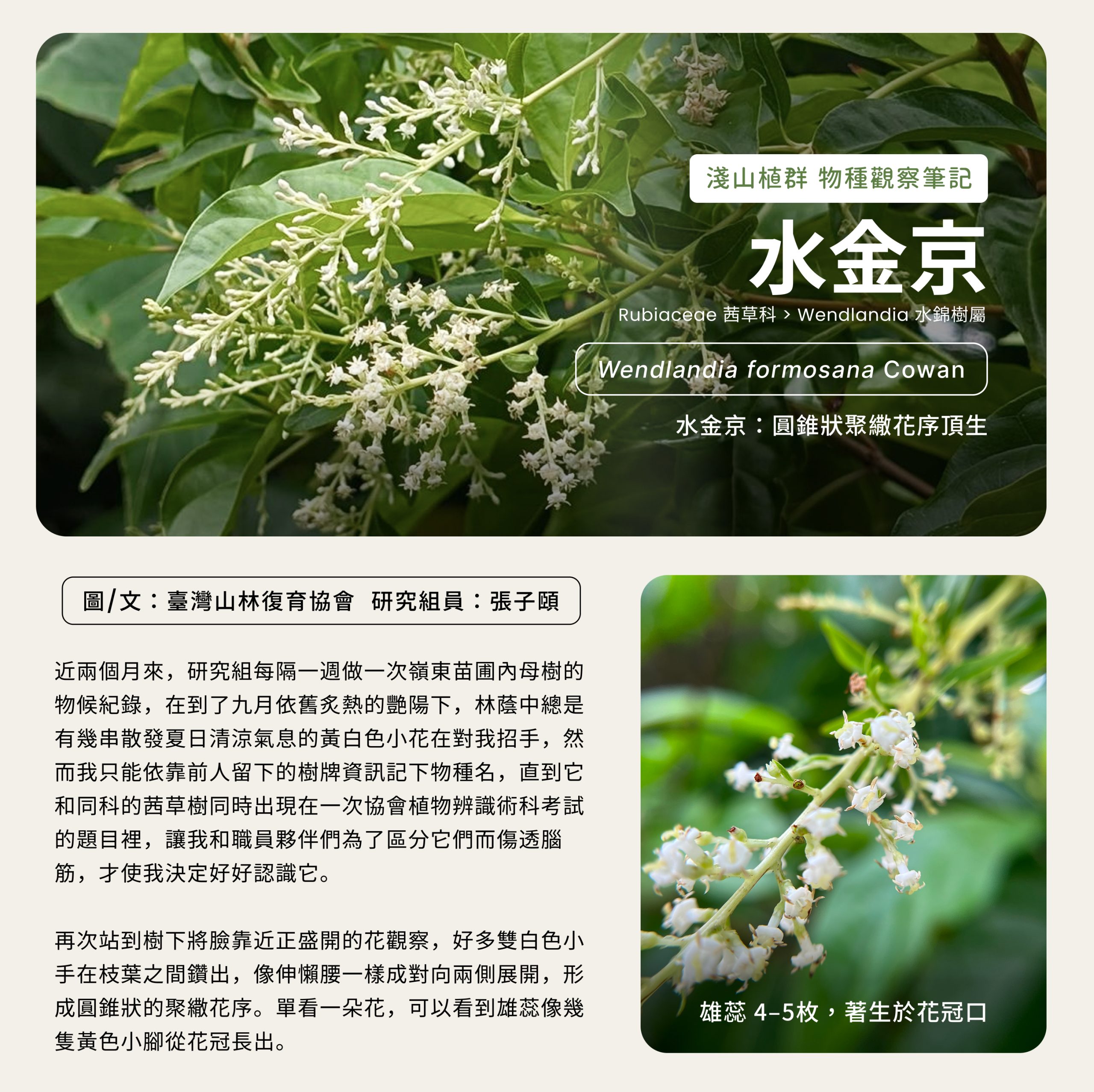 圖片 2