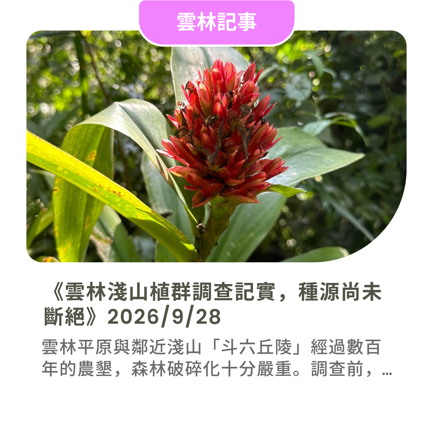 圖片 4