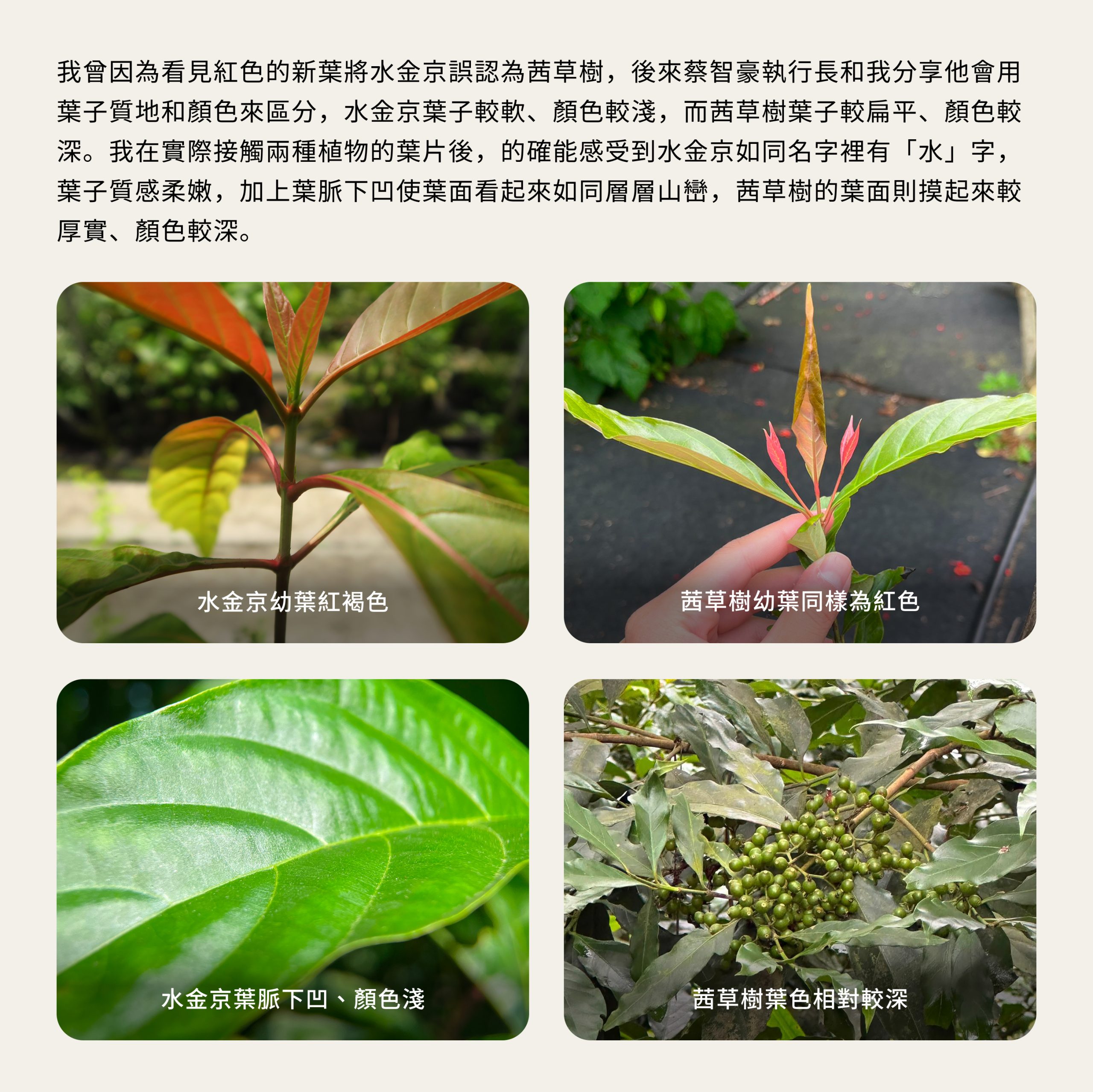 圖片 5