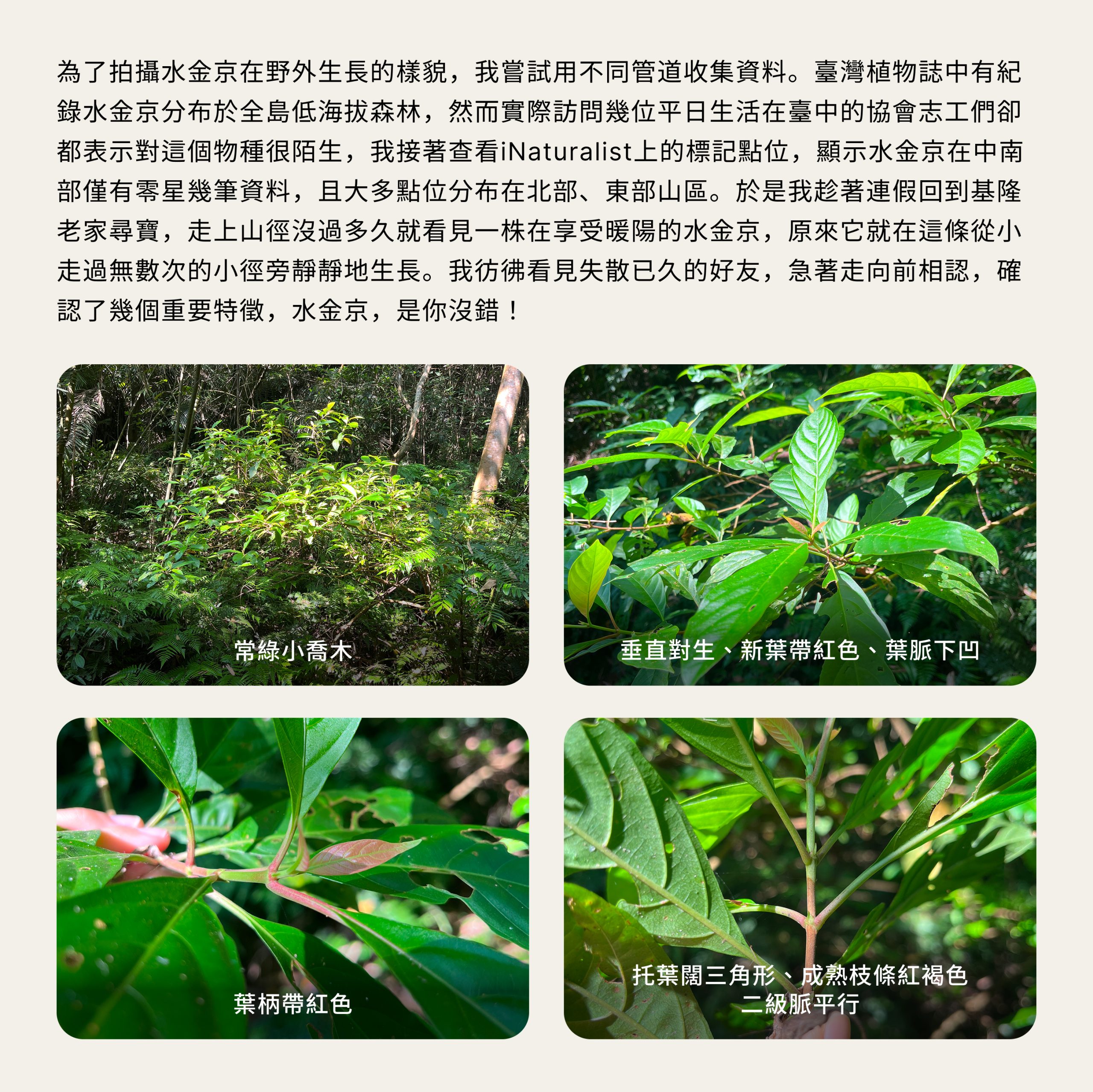 圖片 6
